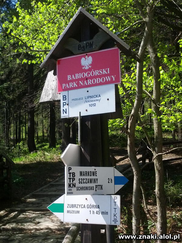 Babia Góra - Przełęcz Krowiarki, znak 1