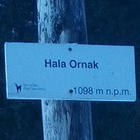 Hala Ornak